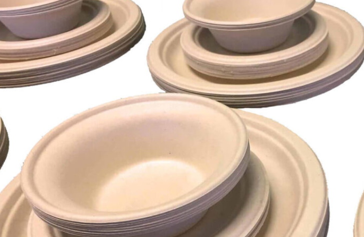 How Eco-Friendly Are Paper Plates Disposable Compared To Plastic?