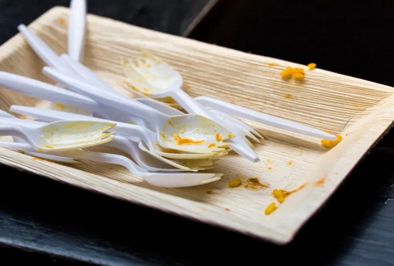 Disposable Spoons_2