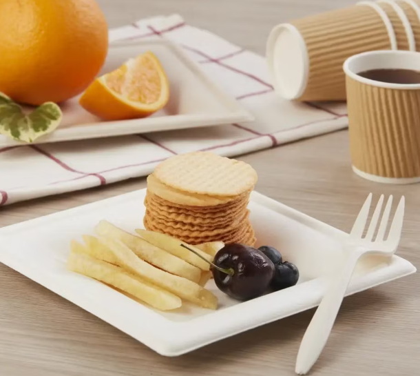 Disposable Plate_2.jpg
