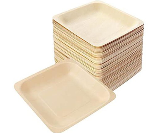 Disposable Plate_1