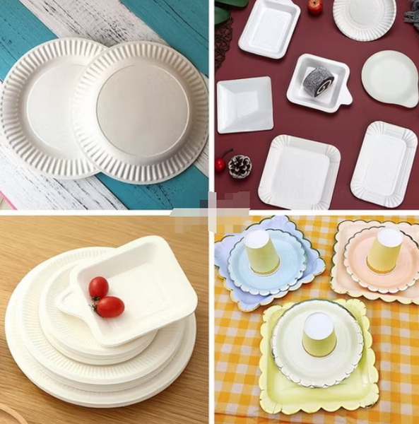 Disposable Plates_1