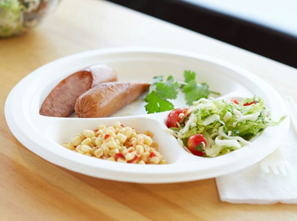 Why Choose Unify Disposable for Your Paper Plate Needs in Delhi?