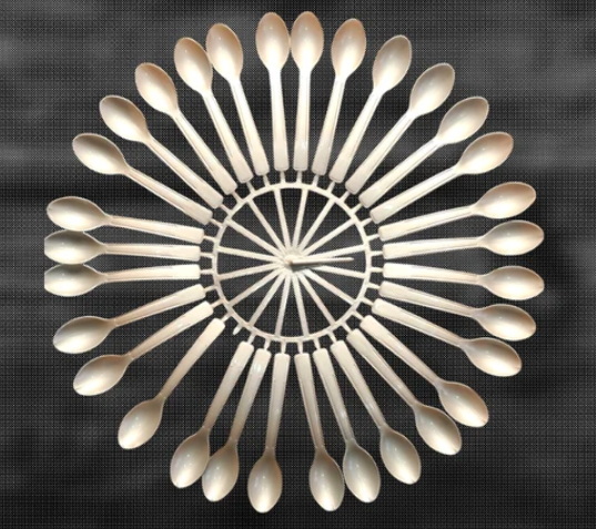Disposable Tableware