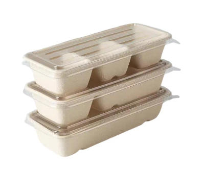 Dutch Food Container Suppliers