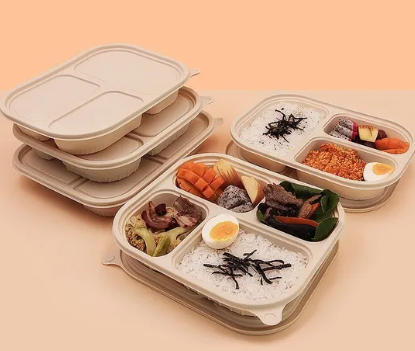 Top Disposable Bento Box Manufacturers And Suppliers in South Korea.jpg