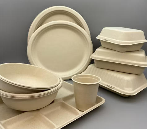 Top 10 Environmentally Friendly Paper Plates Manufacturers in China.jpg