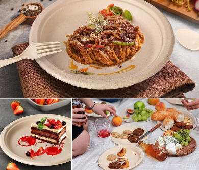 Biodegradable Tableware Exporter Biodegradable Tableware Exporter