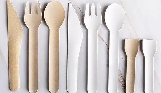What Is Disposable Cutlery