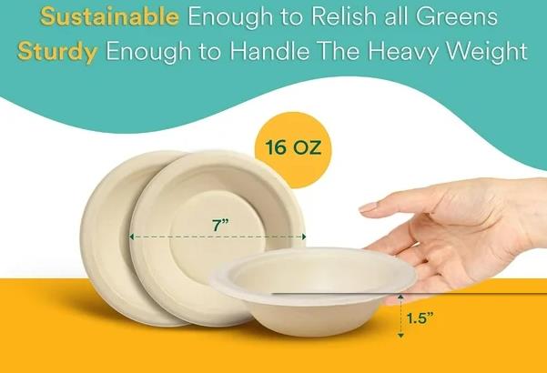 Why Are Ecofriendly Biobased Disposable Bowls Popular in The Foodservice Industry.jpg