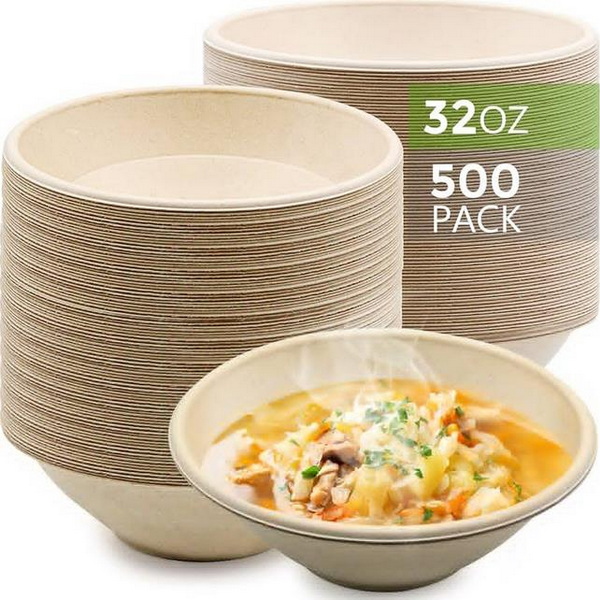 What Are the Best Eco-Friendly Disposable Bowls for Parties?