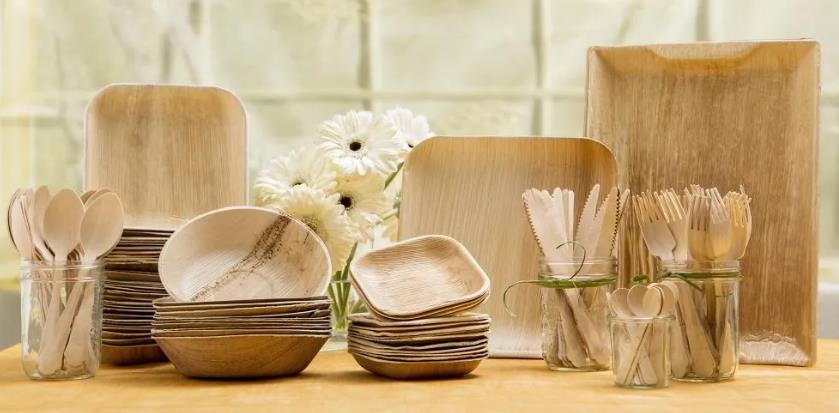 Make Eco Friendly Disposable Plates 2