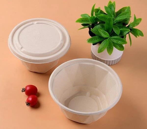 Disposable Soup Bowls with Lids 2