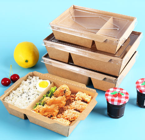 Hungary Disposable Container Manufacturers المجر الشركات المصنعة للحاويات القابل للتصرف