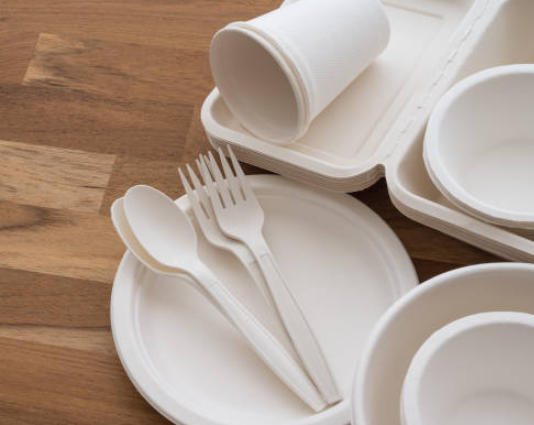 Top Disposable Plate Manufacturers And Suppliers in Poland