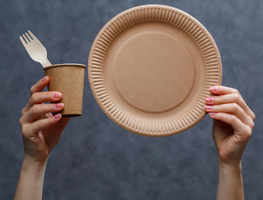 Disposable Food Packaging And Tableware Suppliers In Japan