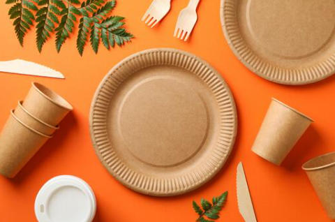 Top Paper Dish Manufacturers And Suppliers in South Korea