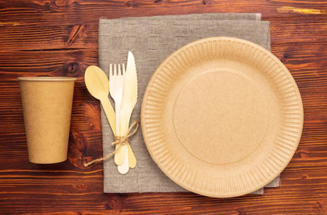 Top Paper Dish Manufacturers And Suppliers in Japan.jpg