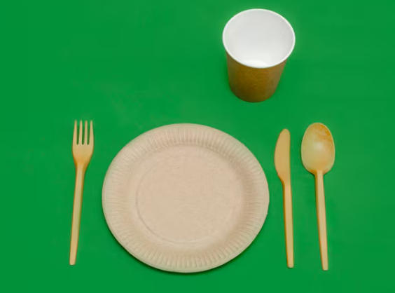 Top Paper Dish Manufacturers And Suppliers in France