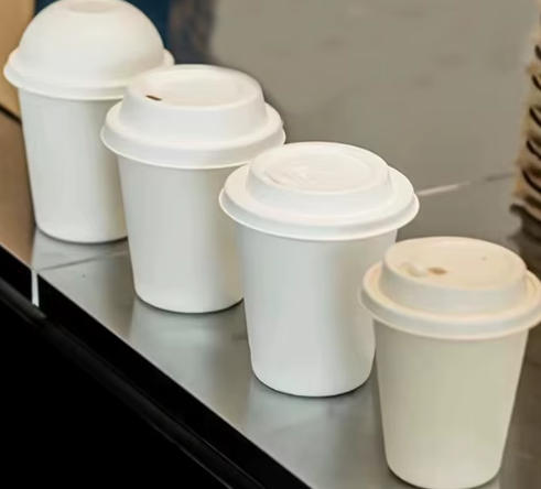 Food Service Lid Manufacturers Russia