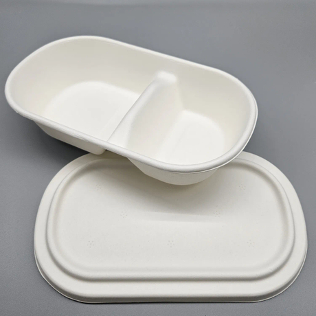 800ML 2 Compatmetn Container Box