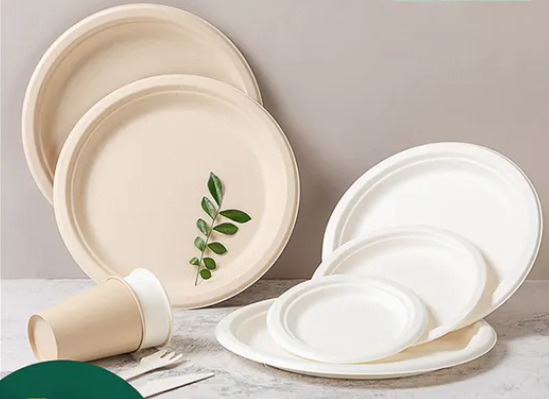 Disposable Saucer Plates_3