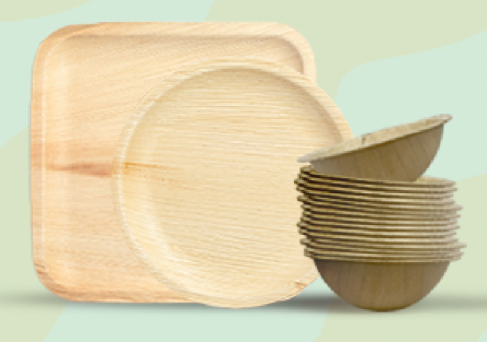 Disposable Sauce Plate_1