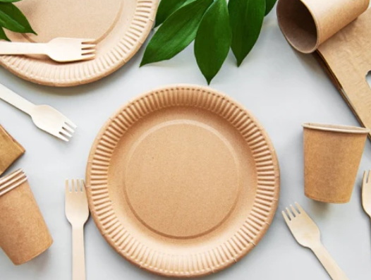 Disposable Cutlery_20