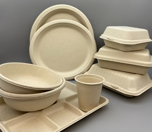 Premium Disposable Tableware_1