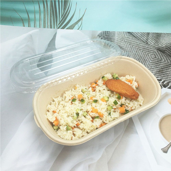 Disposable Food Container