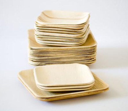 Disposable Plates_6