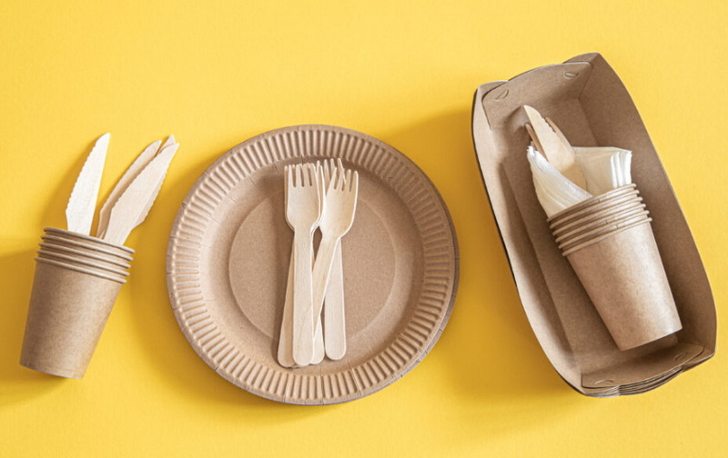 Disposable Tableware_1