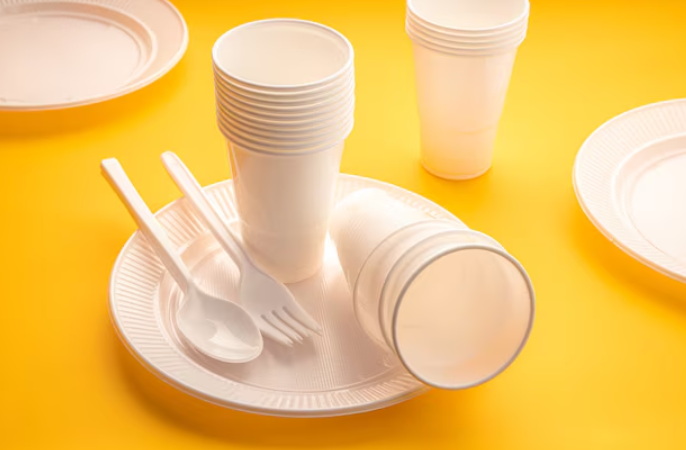 Are Disposable Plates And Spoons Safe for Food Use?