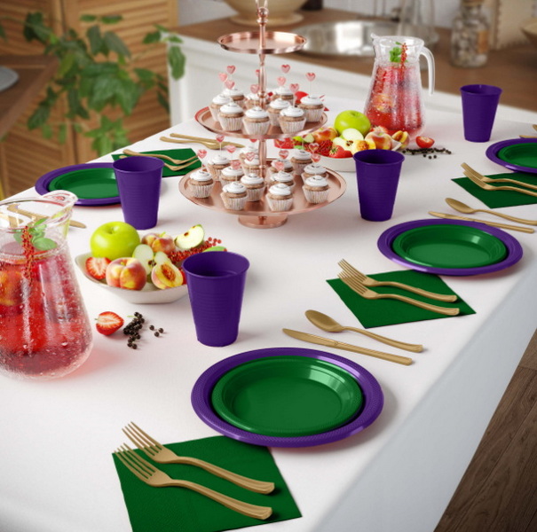 Disposable Tableware_2