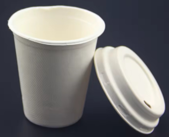 Disposable Cup_2
