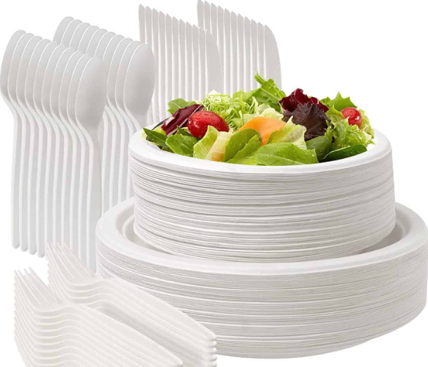 Disposable Plates_3