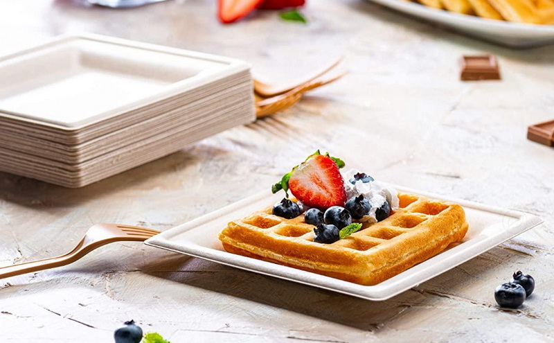 Are Square Disposable Plates Eco-Friendly And Biodegradable?