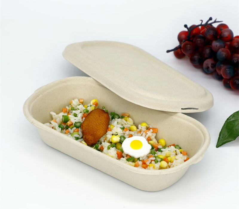 Custom Disposable Lunch Boxes