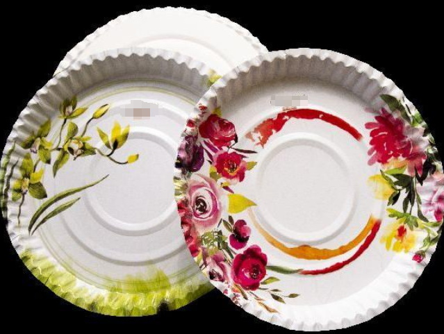 How To Choose A Cost-Effective Paper Plate Making Machine?