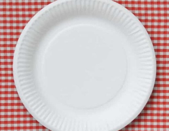 Sams Club Disposable Plates_3