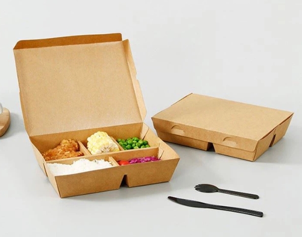 Disposable Lunch Box