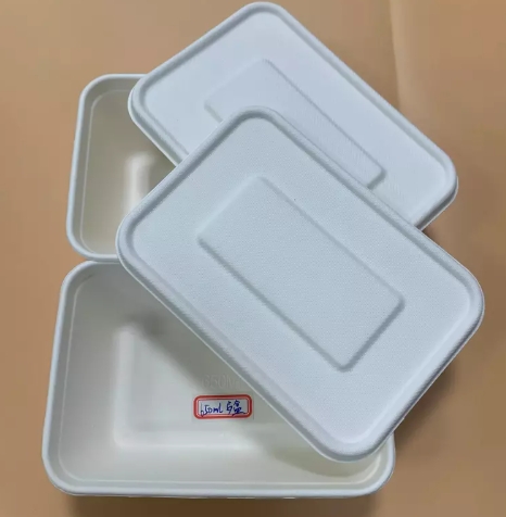 Reusable Container Box Germany