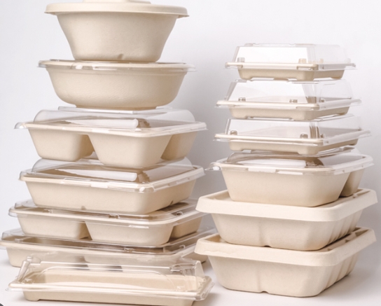 Container Box Vs Corrugated Box: Which Packaging Is Best for Your Product?