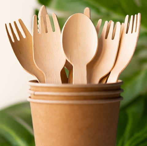 Green Disposable Dinnerware Manufacturers Green Disposable Dinnerware Manufacturers