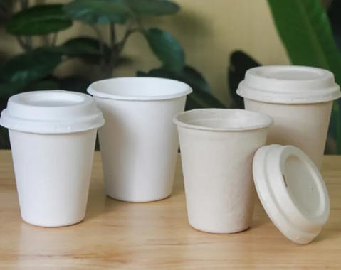 Eco-Friendly Cup Lid Manufacturers Korea