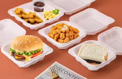 Top Disposable Bento Box Manufacturers And Suppliers in Spain