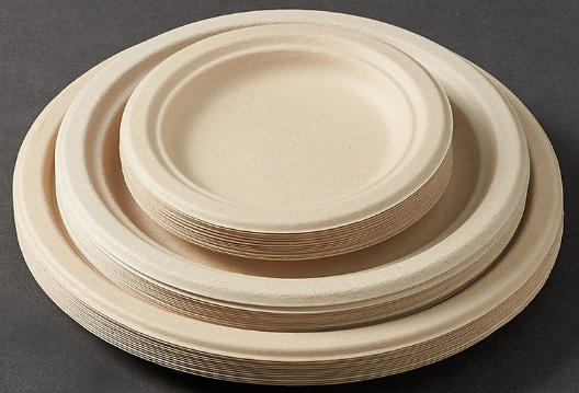 Top 10 Compostable Paper Plates Manufacturers in China