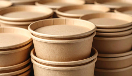 Top Paper Bowl Manufacturers And Suppliers in Philippines.jpg