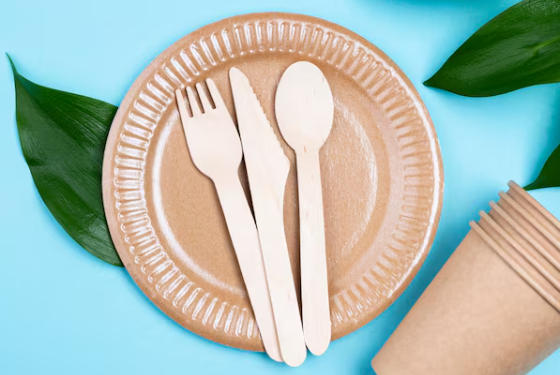 Top Paper Cutlery Manufacturers And Suppliers in Arabia.jpg