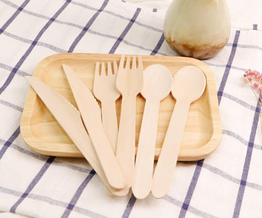 Eco Friendly Paper Cutlery Manufacturers France