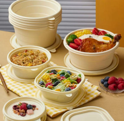 Top Disposable Lunch Box Manufacturers And Suppliers in Arabia.jpg